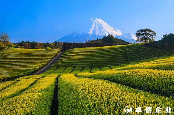 如何寫日本注冊公司的經(jīng)營范圍？