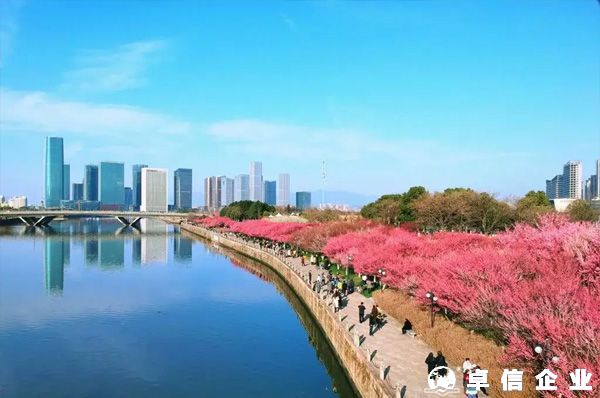 注冊(cè)義烏個(gè)體戶怎樣突破個(gè)人五萬金額結(jié)匯