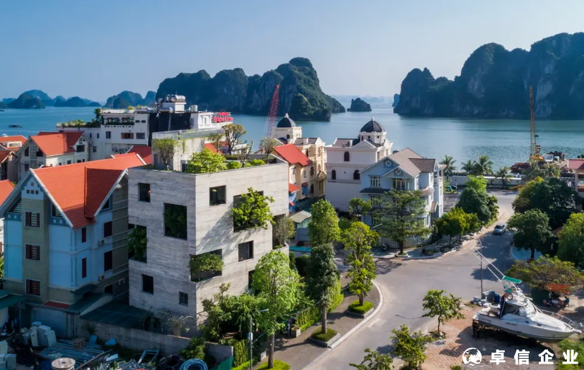 為什么越南的公司不建議用個人持有呢？