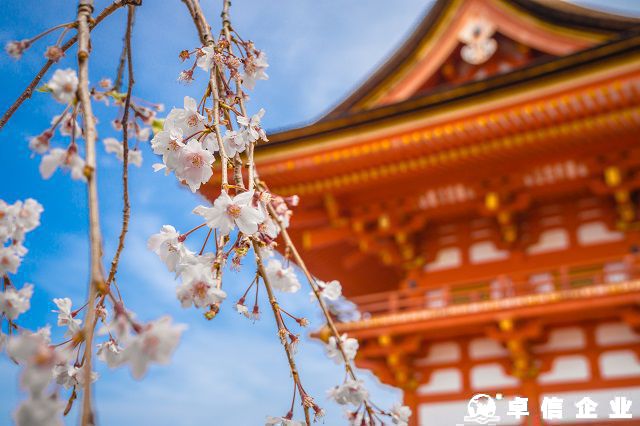 日本條形碼申請資料及步驟全解析